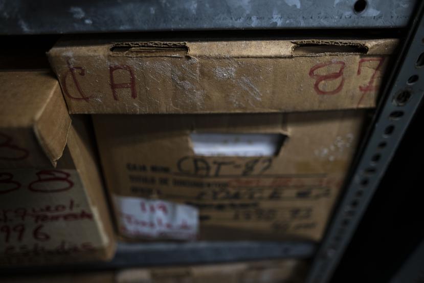 La presencia de hongos es notable en algunas de las areas del Archivo.