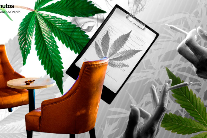 Consumo alerta de la venta de gominolas con presencia de cannabis: “Su consumo implica un riesgo grave para la salud”