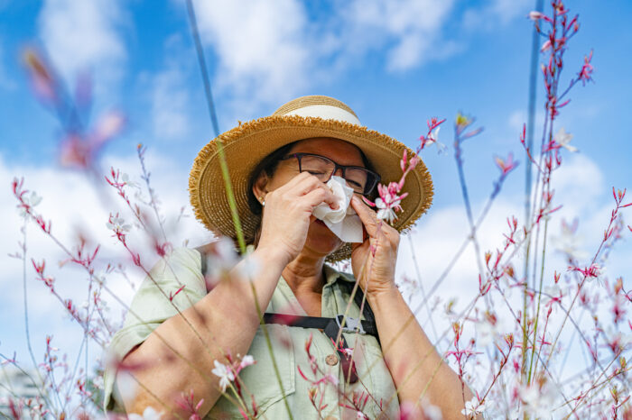 Beneficios de la ashwagandha que no todo el mundo conoce: de calmar la ansiedad a regular el azucar en sangre